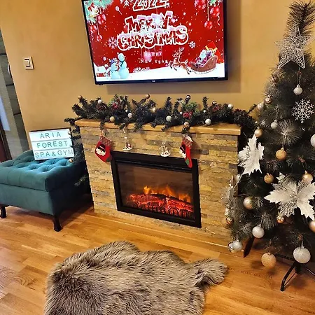 Aria Forest & Gym * Zlatibor