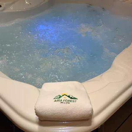 Apartament Aria Forest & Gym *