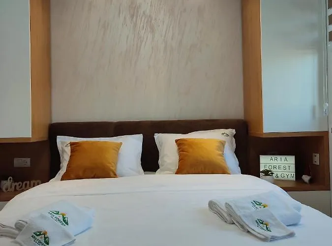 Апартаменты Aria Forest & Gym Златибор