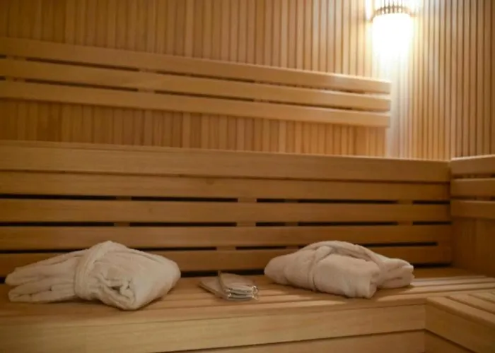 Aria Forest & Gym * Златибор