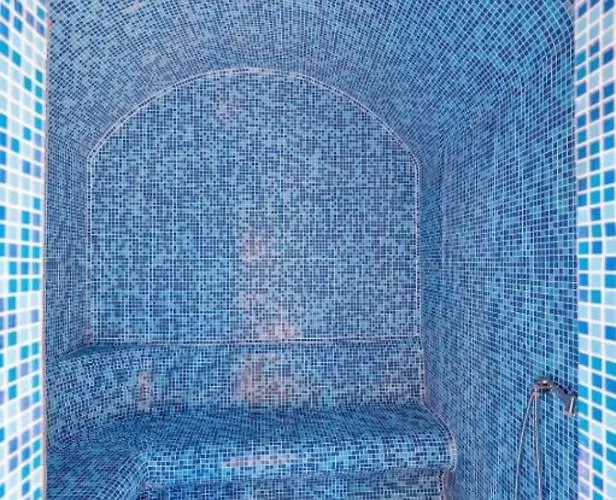 Aria Forest & Gym * Златибор