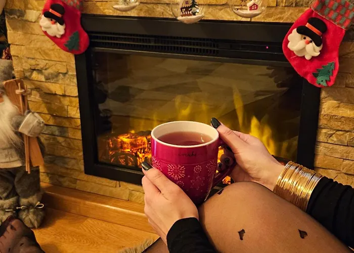 Aria Forest & Gym Златибор