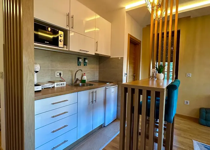 Aria Forest & Gym * Златибор